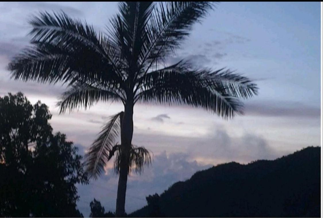 波塞申 Au Coeur Des Plantations旅馆 外观 照片