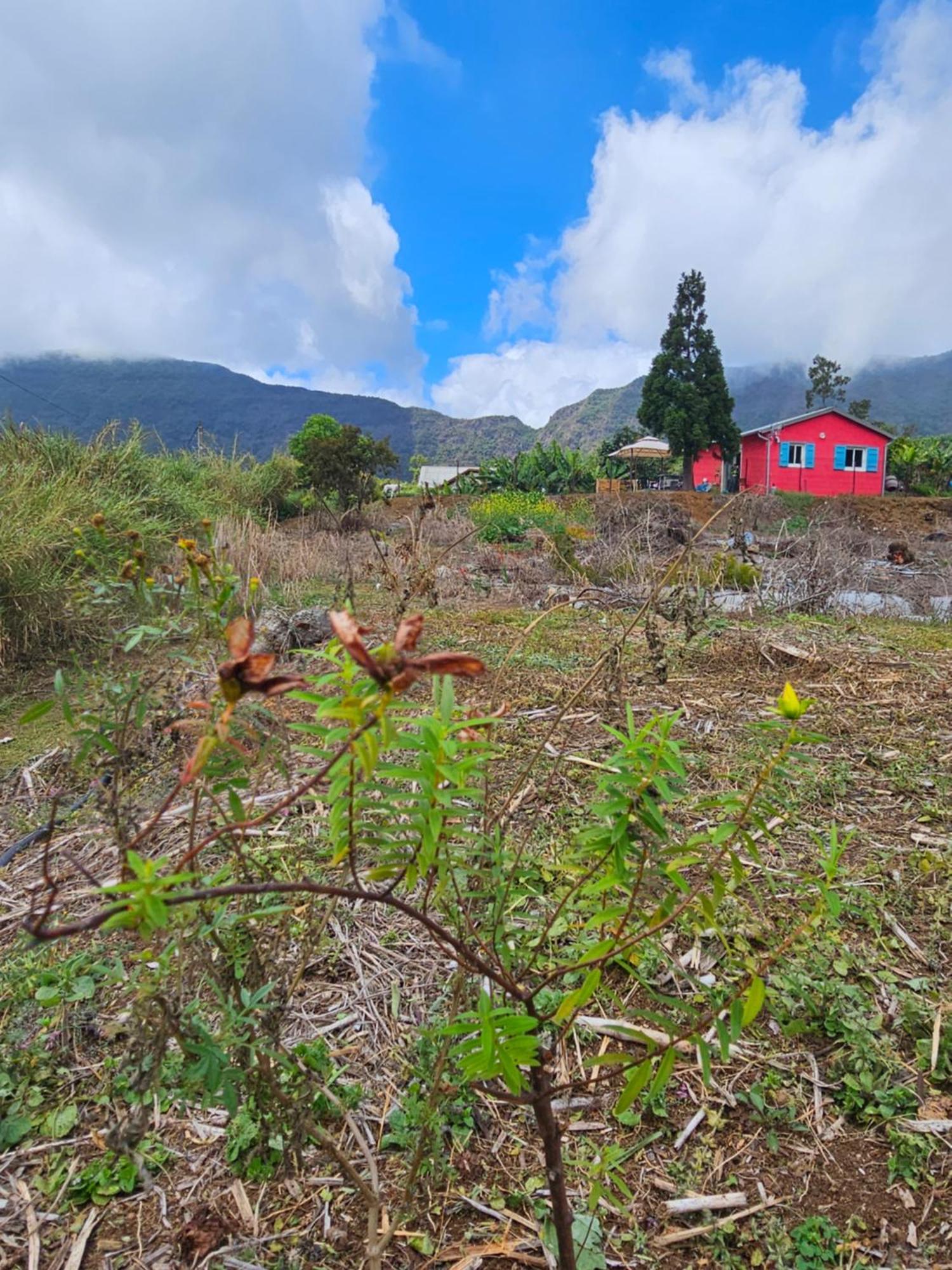 波塞申 Au Coeur Des Plantations旅馆 外观 照片